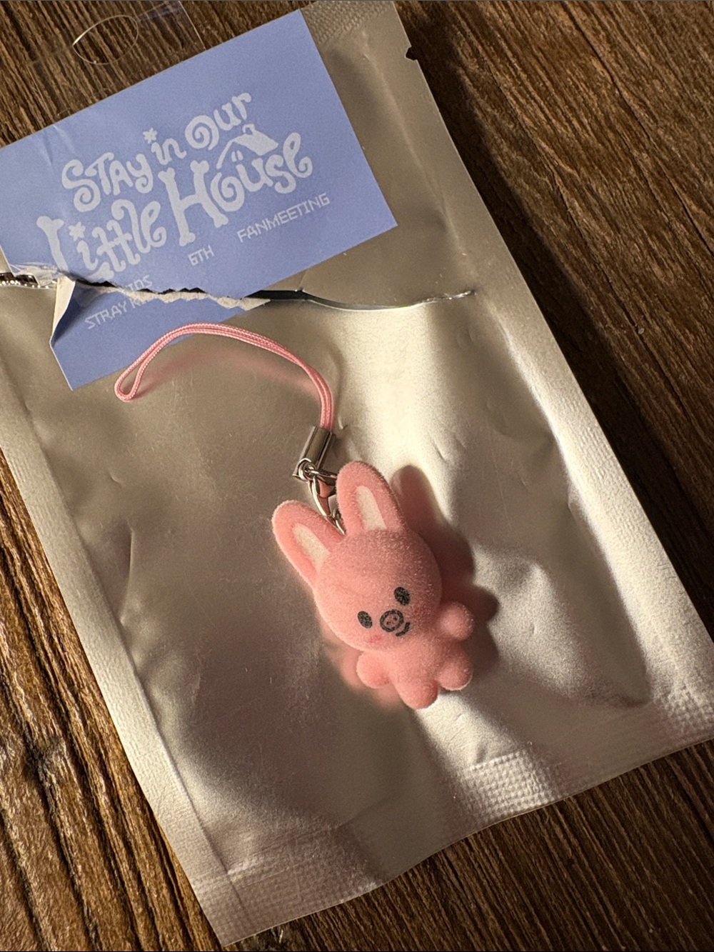 Stray Kids Stay in Our Little House Mini Charm Dwaekki